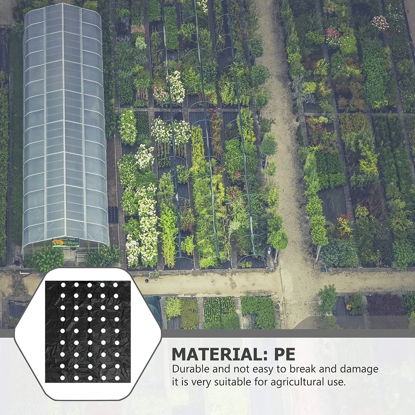 Black Plastic Mulch Film — High-Quality Vegetable Growing Film for Greenhouses & Plant Protection