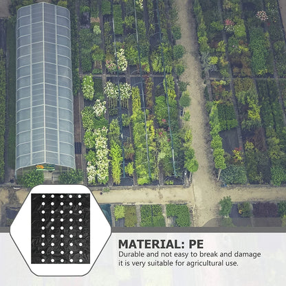 Black Plastic Mulch Film — High-Quality Vegetable Growing Film for Greenhouses & Plant Protection