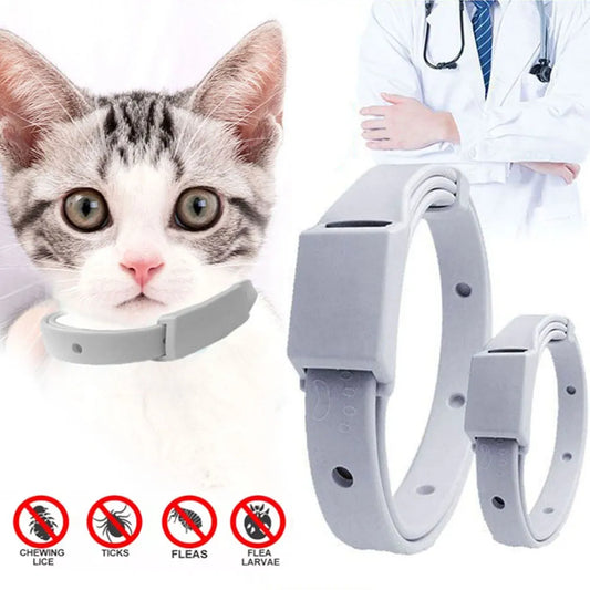 Adjustable Anti Flea Tick Collar for Cat and Small Dog - 8-Month Antiparasitic Protection, Breakaway Puppy Kitten Collar - Essential Pet Accessories