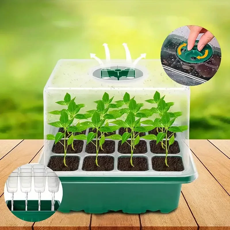 Green Seedling Pot — Multifunctional Planting & Transplanting Box for Gardening and Seedling Care