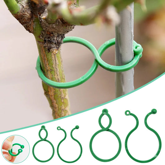 Plastic Garden Vine Strapping Clips - 20/50/100Pcs Plant Bundled Buckle Rings for Tomato, Grapevine, and More - Plants Support Tool