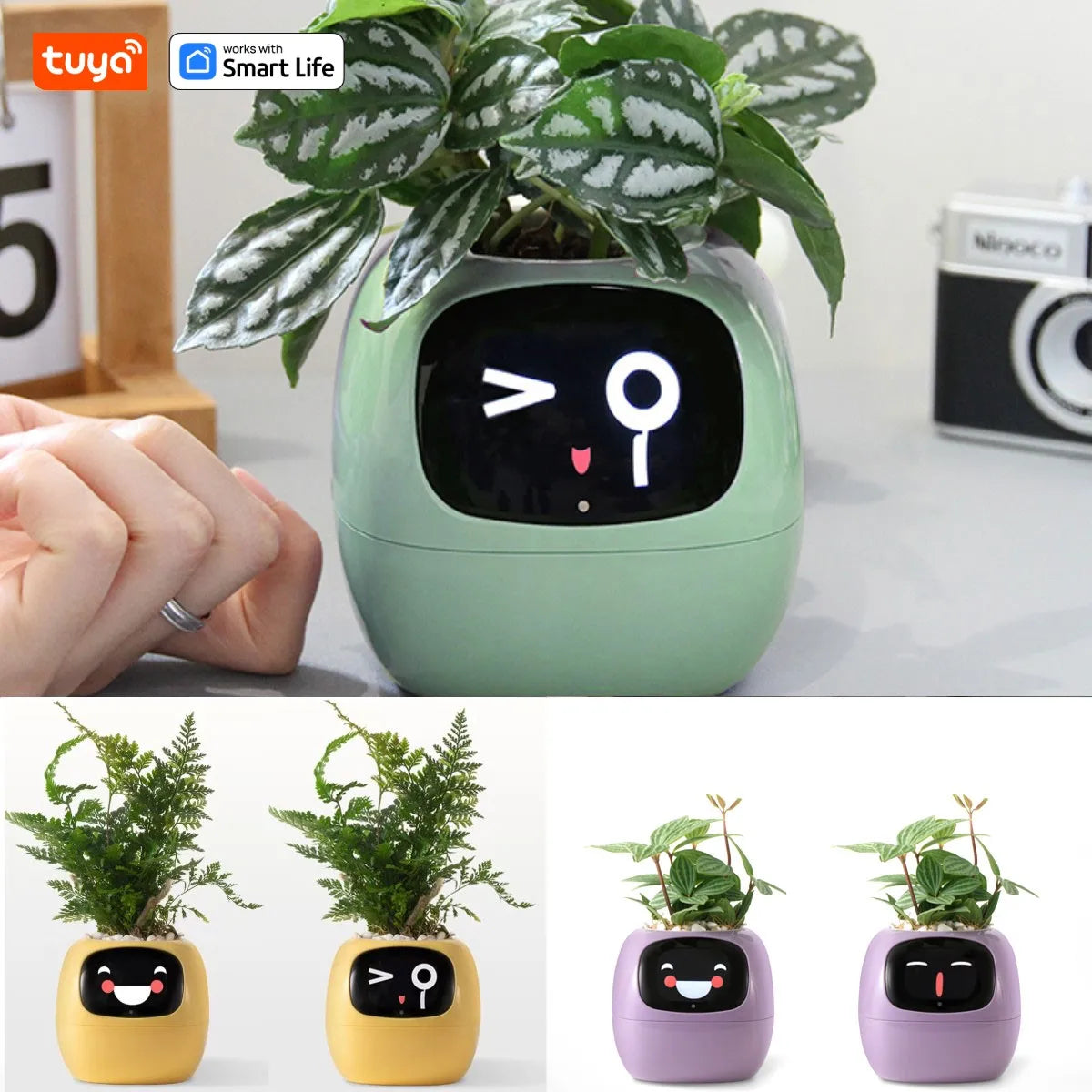 Tuya Ivy Smart Planter with AI Chips and 7 Smart Sensors - Over 49 Expressions for Easy and Fun Plant Care