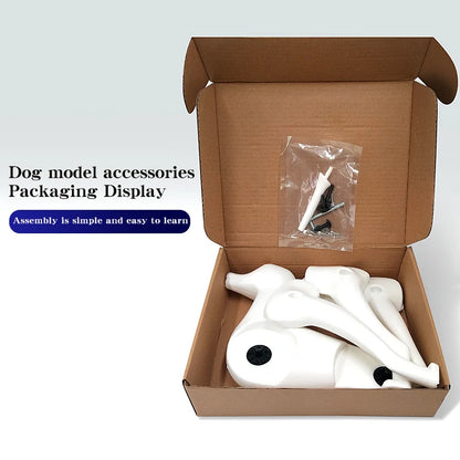 Pet Grooming Practice Poodle Model — Full Body Simulation Dog Mannequin for Grooming Training