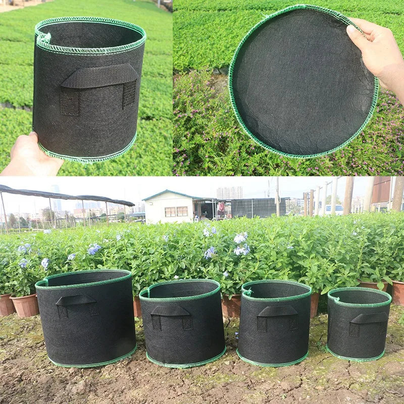 Non-Woven Grow Bags with Handles – 2/3/5/7/10 Gallon Vegetable & Flower Plant Pots