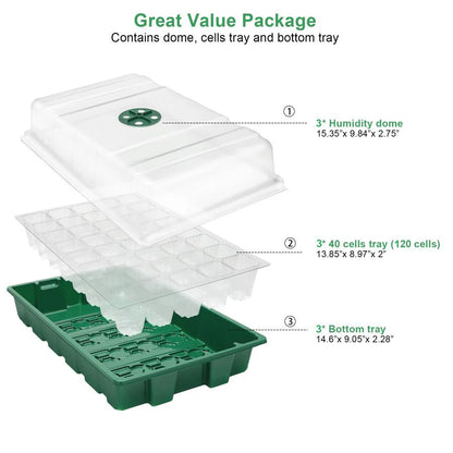3pcs 40-Cell Seed Tray Set — Thickened Seedling Propagator with Transparent Cover for Greenhouse & Garden