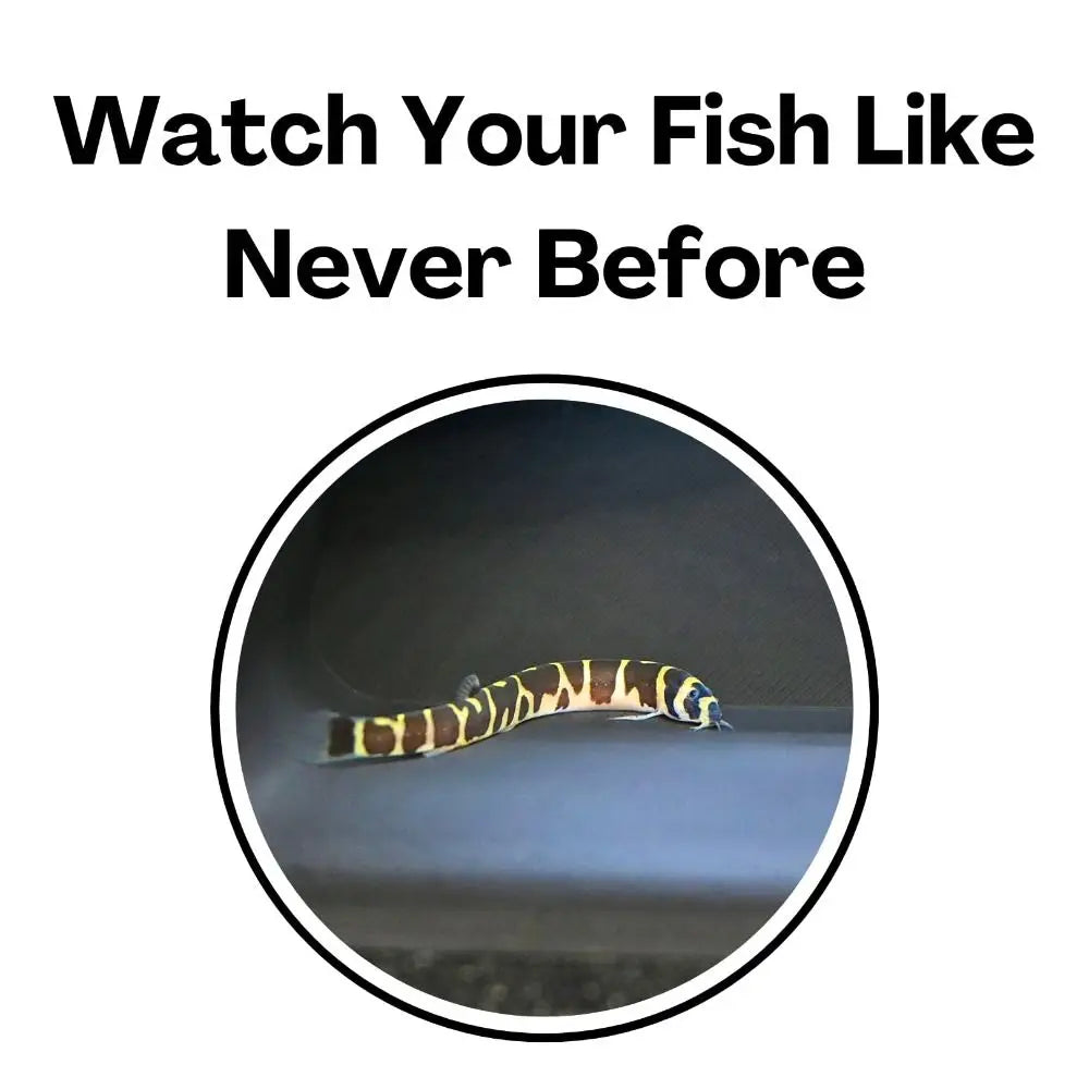 Multifunctional Aquarium Tunnel Cave – Under Gravel Two-Hole Fish Tank Decoration with Curved Design