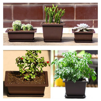 Purple Clay Succulent Plant Pots – Outdoor Garden Bonsai Planters, Rectangular & Square