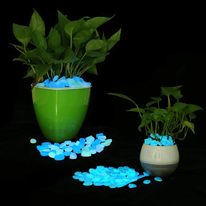 500 Piece Glow In The Dark Garden Pebbles: Luminous Stones for Yard and Walkways Decor - DIY Fairy Garden Rocks