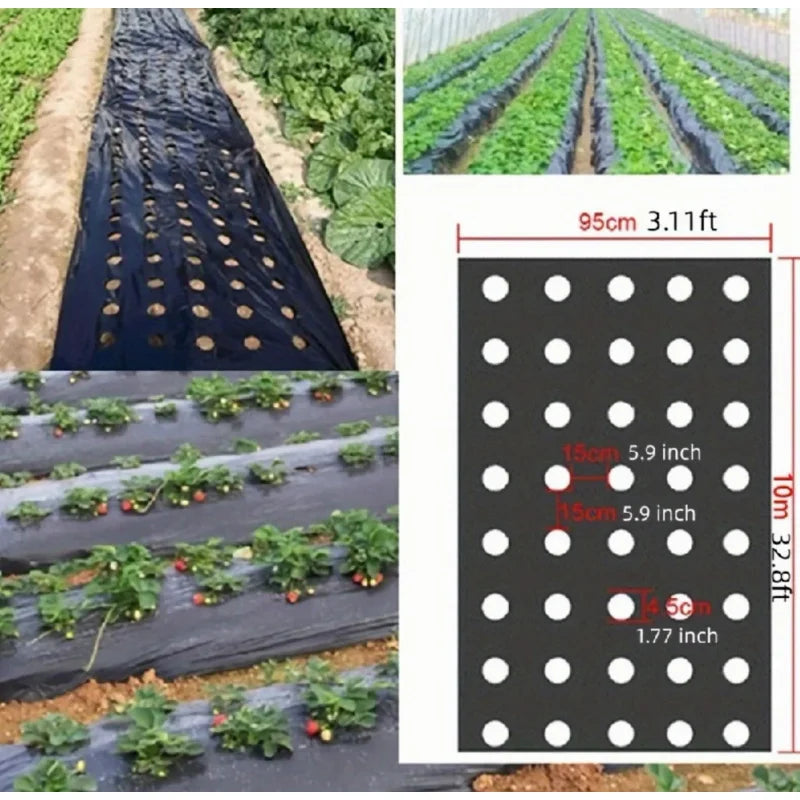 Black Plastic Mulch Film — High-Quality Vegetable Growing Film for Greenhouses & Plant Protection
