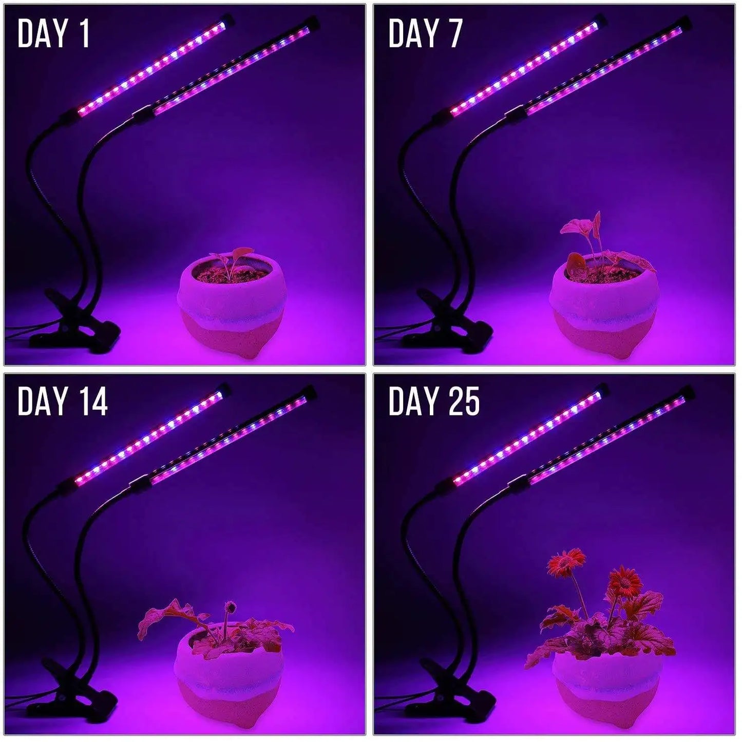 USB LED Plant Grow Light — Indoor Garden Full Spectrum Lamp with 10 Dimmable Levels, Timer Settings 3H/9H/12H for Hydroponic & Greenhouse Plants