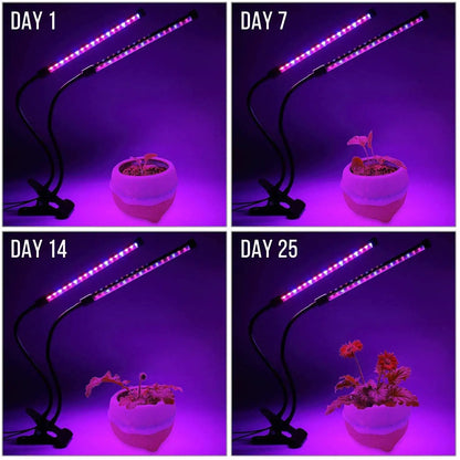 USB LED Plant Grow Light — Indoor Garden Full Spectrum Lamp with 10 Dimmable Levels, Timer Settings 3H/9H/12H for Hydroponic & Greenhouse Plants