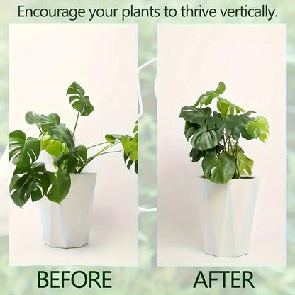 Large Hanging Plant Stand with Iron Hooks – Indoor & Outdoor Flowerpot Holder for Decorative Plants