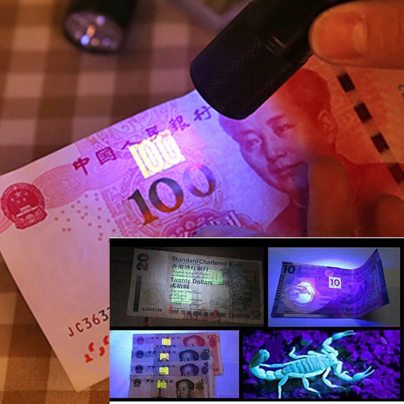 100 LED UV Flashlight 395NM – Black Light Torch for Dog Urine, Pet Stains & Bed Bug Detection