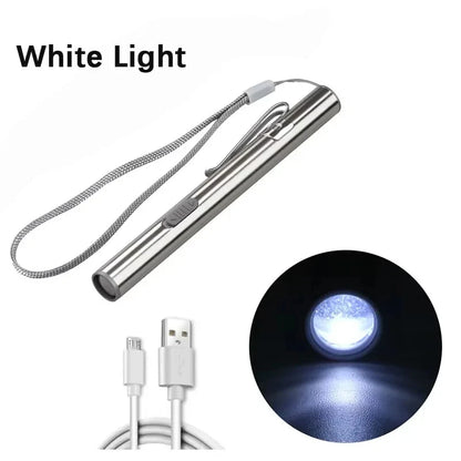 Mini Portable LED Pen Light — USB Rechargeable Medical Flashlight with Stainless Steel Clip for Dentist & Nurse Use