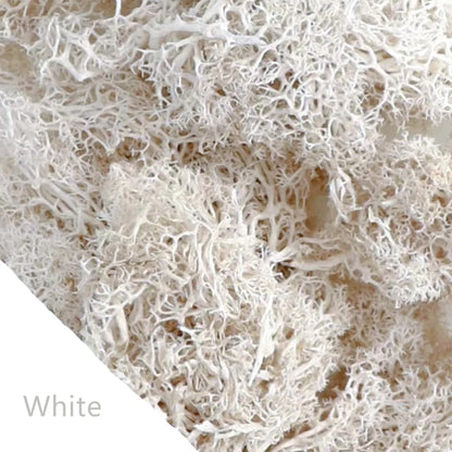 48640855212339|48640855540019|48640855572787