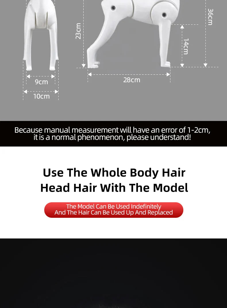 Pet Grooming Practice Poodle Model — Full Body Simulation Dog Mannequin for Grooming Training