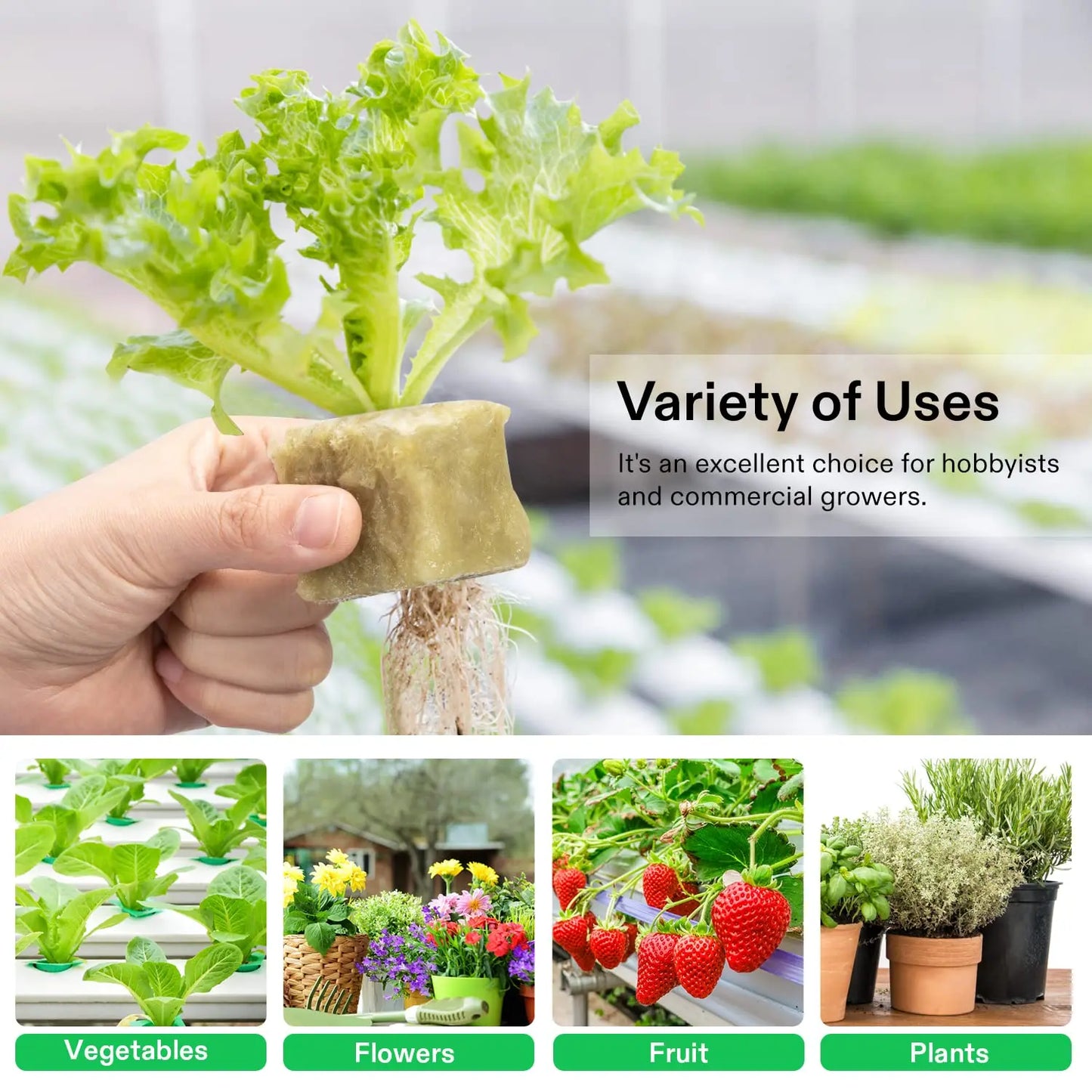 Sponge Block Starter Plugs — Rockwool Grow Cubes for Seedlings, Hydroponics & Plant Propagation