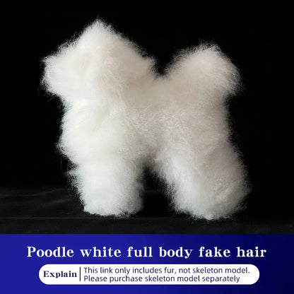 Pet Grooming Practice Poodle Model — Full Body Simulation Dog Mannequin for Grooming Training