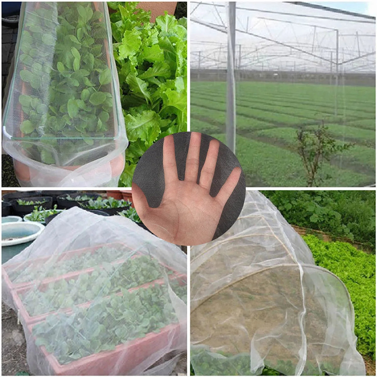 Garden Insect Protection Net – 60 Mesh Pest Control Cover for Plants, Vegetables, Fruits, Flowers & Greenhouse, Anti-Bird Protective Net