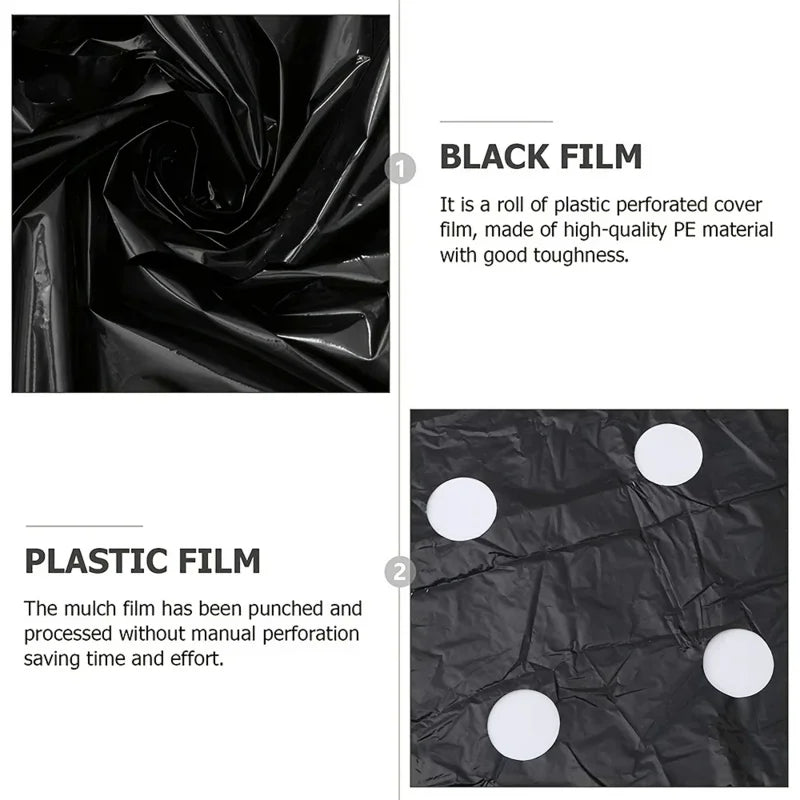 Black Plastic Mulch Film — High-Quality Vegetable Growing Film for Greenhouses & Plant Protection