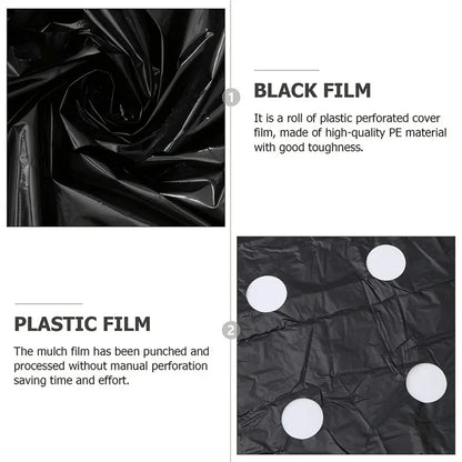 Black Plastic Mulch Film — High-Quality Vegetable Growing Film for Greenhouses & Plant Protection