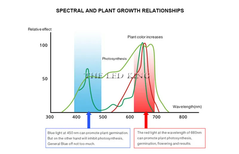 Phyto Lamp Full Spectrum LED Grow Light — E27 Plant Lamp for Indoor Seedlings, Flowers & Grow Tent Box