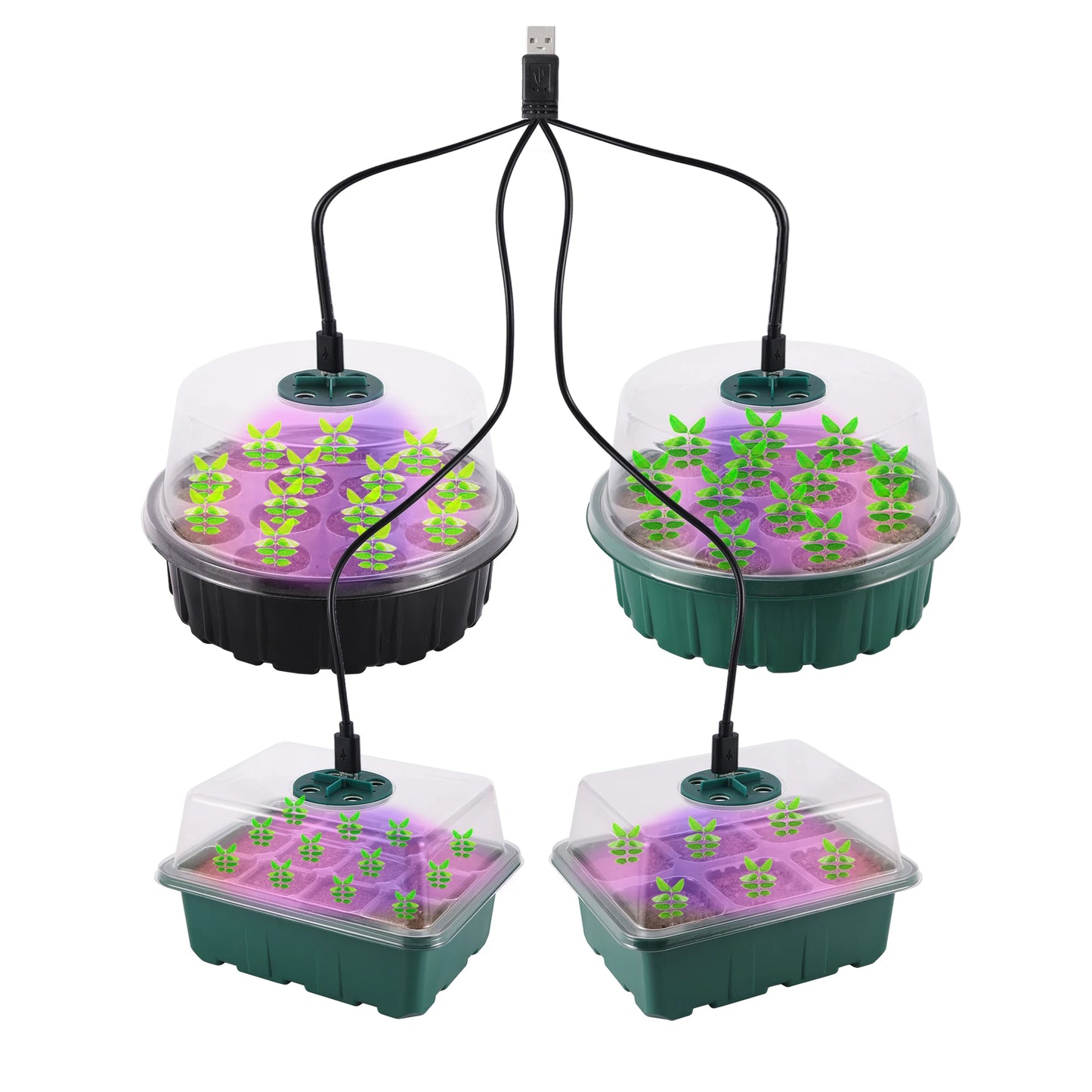 LED Grow Light with 6/12-Hole Seed Starter Trays — Indoor Plant Germination & Seedling Growing Box