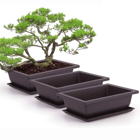 Purple Clay Succulent Plant Pots – Outdoor Garden Bonsai Planters, Rectangular & Square
