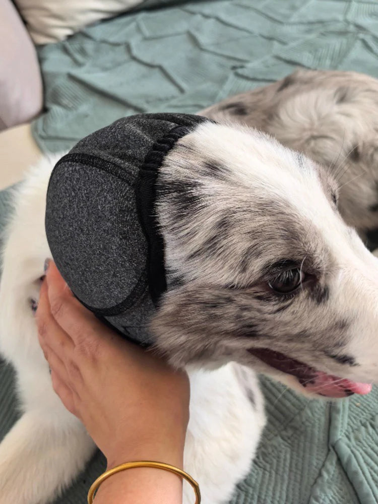 Dog Noise Reduction Ear Muffs — Waterproof Sound-Insulating Headgear for Swimming & Emotional Soothing
