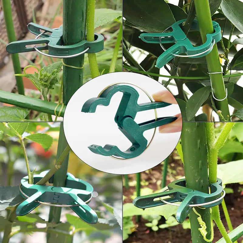 Reusable Plant Fixed Clips - Garden Greenhouse Brackets for Supporting Plants, Vine, Flower Seedling, Tomatoes - Garden Supplies