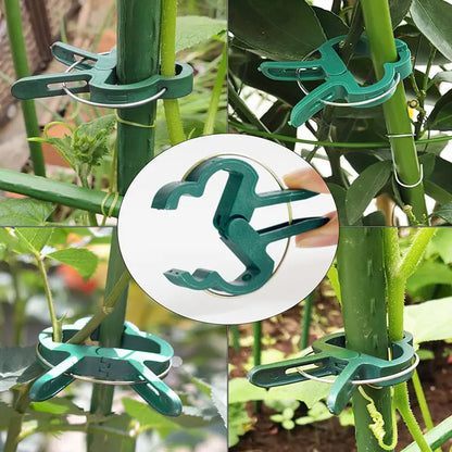 Reusable Plant Fixed Clips - Garden Greenhouse Brackets for Supporting Plants, Vine, Flower Seedling, Tomatoes - Garden Supplies