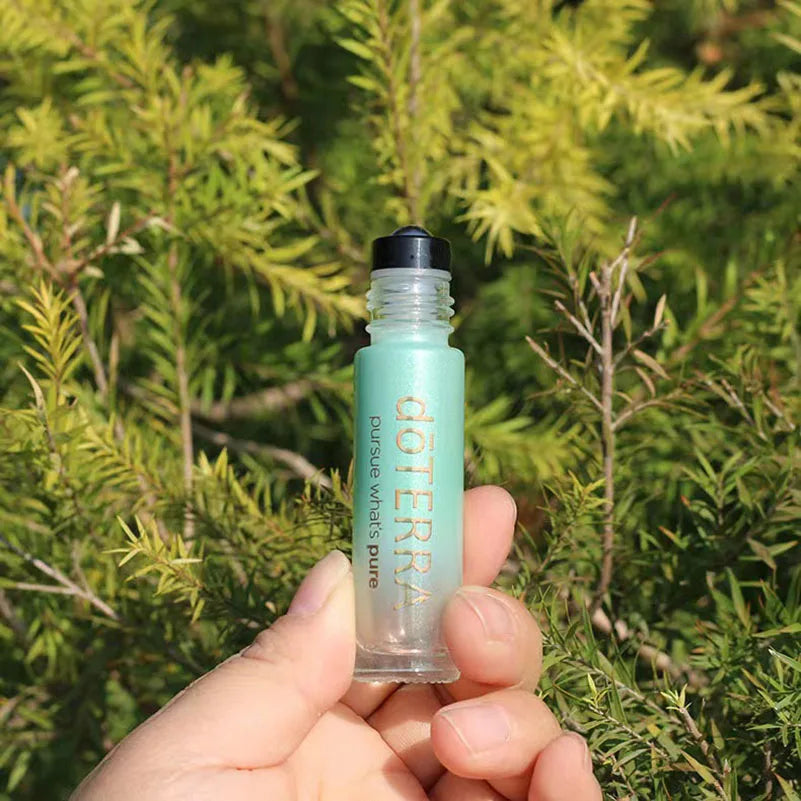 6pcs 10ml Glass Roller Bottles – Leakproof Empty Essential Oil Bottles with Stainless Steel Balls