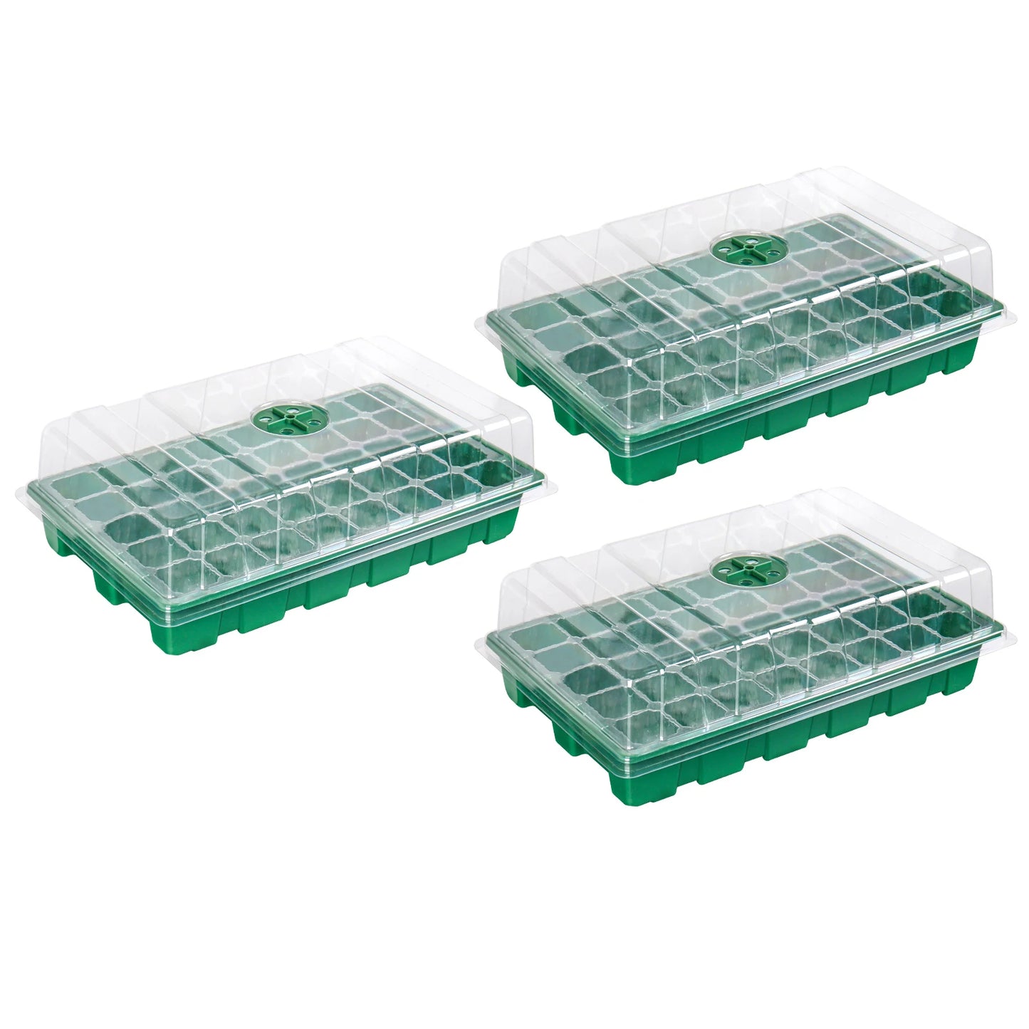 3pcs 40-Cell Seed Tray Set — Thickened Seedling Propagator with Transparent Cover for Greenhouse & Garden