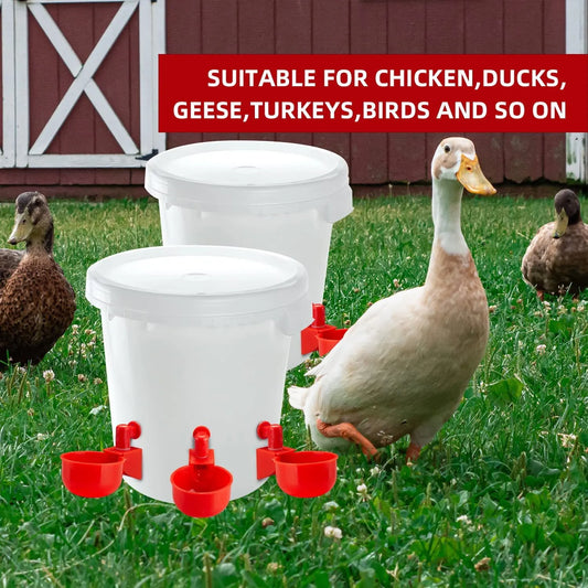 Automatic Chicken Drinking Cup Feeder | Plastic Poultry Waterer for Chicks, Duck, Goose, Quail