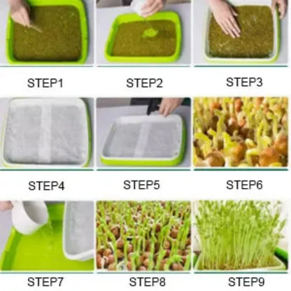 Microgreens Sprouter Tray — Hydroponic Sprouting Tray for Garden, Nursery & Potted Plants