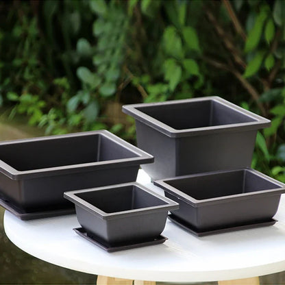 Purple Clay Succulent Plant Pots – Outdoor Garden Bonsai Planters, Rectangular & Square