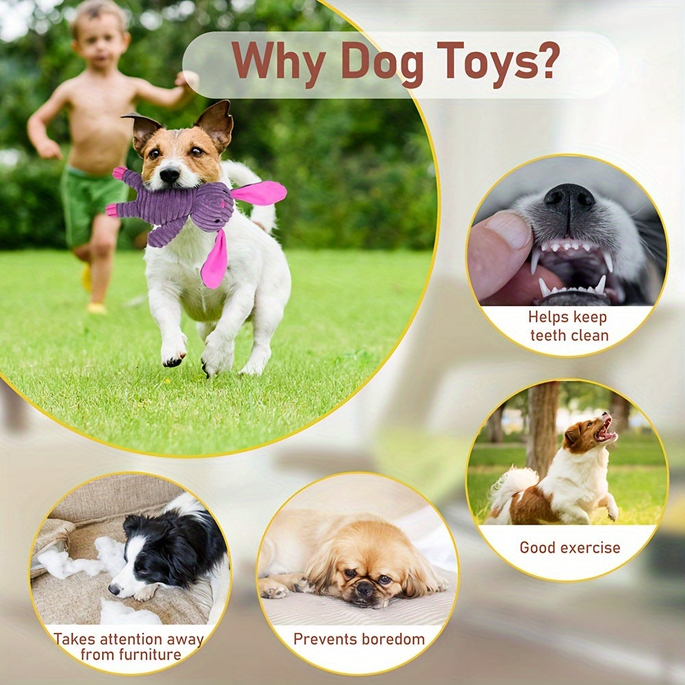 BenBen Dog Toys - Pack of 5 Plush Squeaky Toys for Small, Medium & Large Dogs, Stuffed Puppy Chew Toys, Cute Pet Gift Bundle