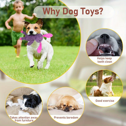 BenBen Dog Toys - Pack of 5 Plush Squeaky Toys for Small, Medium & Large Dogs, Stuffed Puppy Chew Toys, Cute Pet Gift Bundle